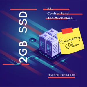 Most economical 2GB SSD web hosting