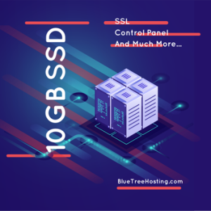 10 GB SSD Shared Web Hosting - Most Economical Web Hosting Service in USA and Europe With World Class Support