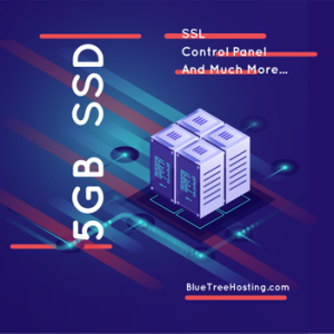 5 GB SSD Shared Web Hosting - Most Economical Web Hosting Service in USA and Europe With World Class Support